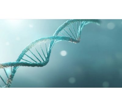 Activate FOXO3 — The Gene That Helps You Age Well